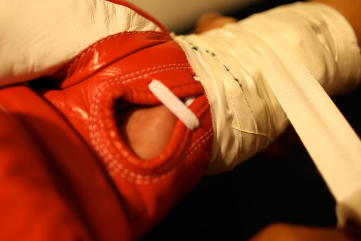 Boxing gloves