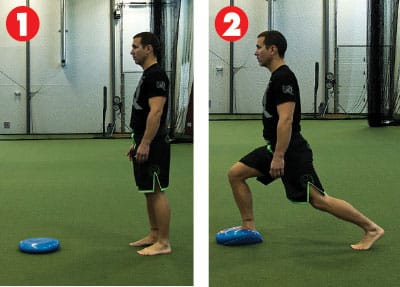 Lunge Stability Disk