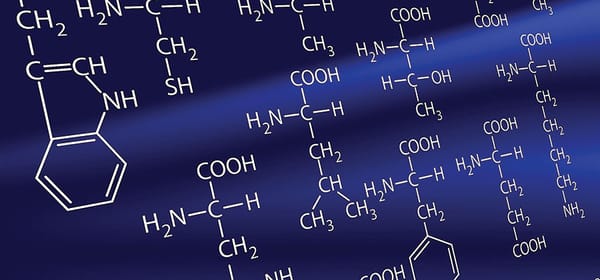 Amino Acids